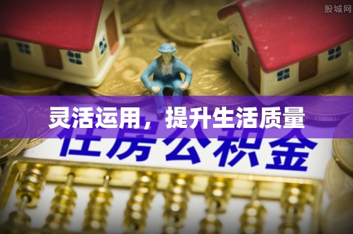 莱城灵活运用，提升生活质量
