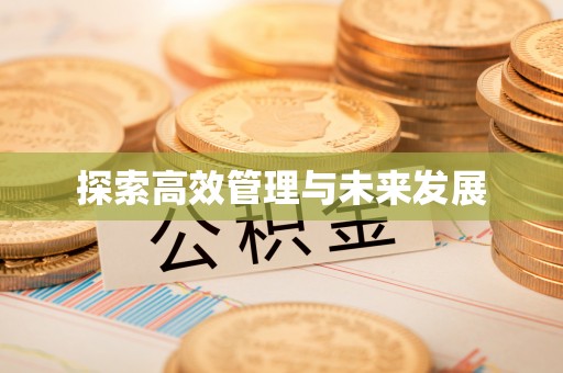 莱城探索高效管理与未来发展