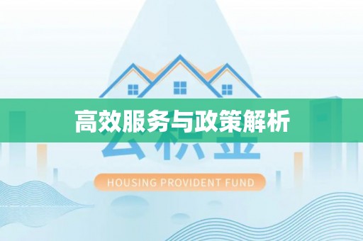 莱城高效服务与政策解析