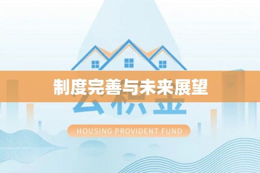 莱城制度完善与未来展望