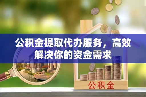 莱城公积金提取代办服务，高效解决你的资金需求