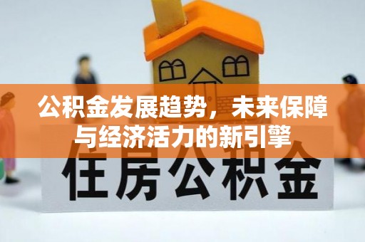 莱城公积金发展趋势，未来保障与经济活力的新引擎
