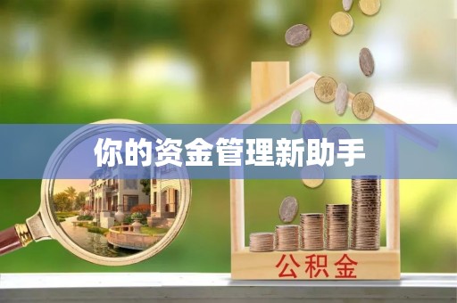 莱城你的资金管理新助手