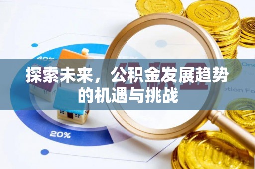 莱城探索未来，公积金发展趋势的机遇与挑战