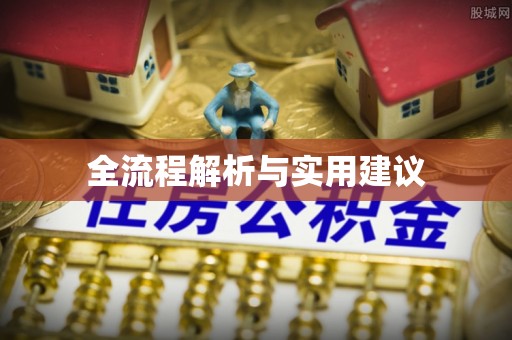 莱城全流程解析与实用建议