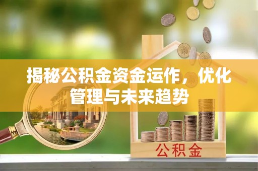 莱城揭秘公积金资金运作，优化管理与未来趋势