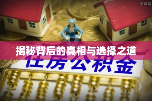 莱城揭秘背后的真相与选择之道