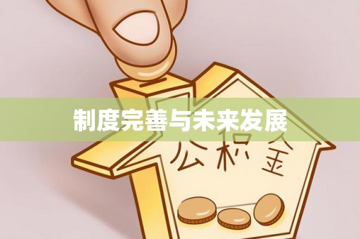 莱城制度完善与未来发展