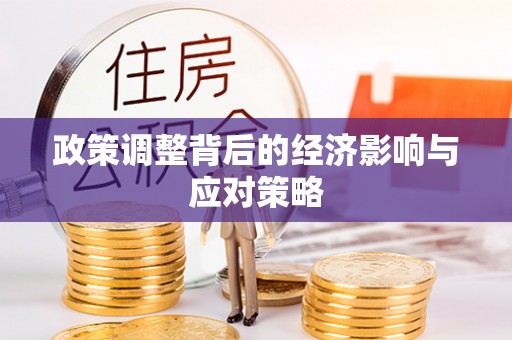 莱城政策调整背后的经济影响与应对策略