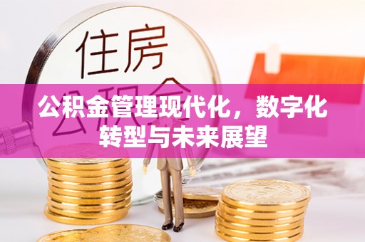 莱城公积金管理现代化，数字化转型与未来展望