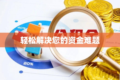 莱城轻松解决您的资金难题