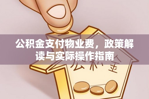 莱城公积金支付物业费，政策解读与实际操作指南