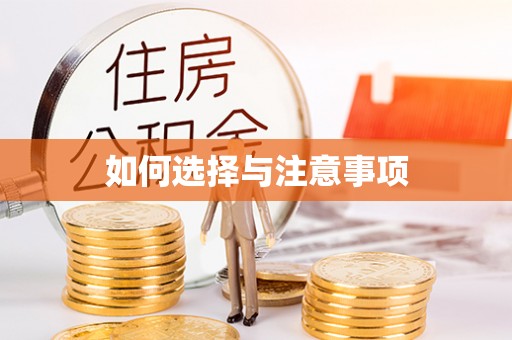 莱城如何选择与注意事项