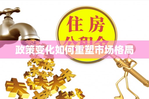 莱城政策变化如何重塑市场格局