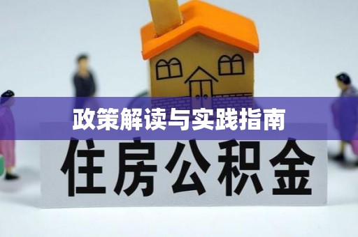 莱城政策解读与实践指南