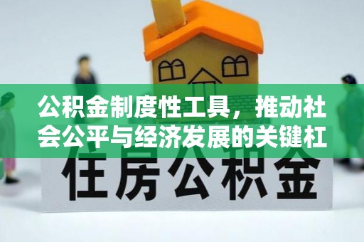 莱城公积金制度性工具，推动社会公平与经济发展的关键杠杆