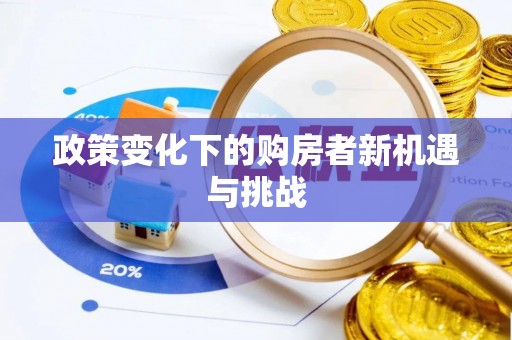 莱城政策变化下的购房者新机遇与挑战