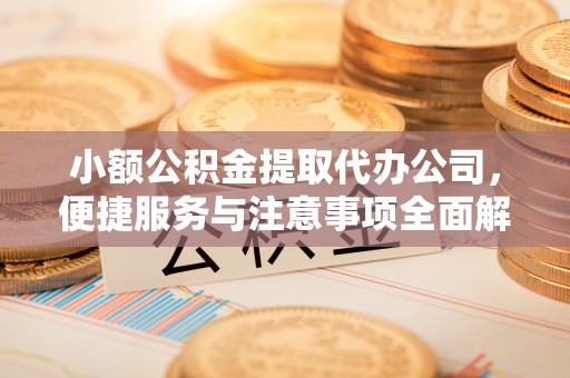 莱城小额公积金提取代办公司，便捷服务与注意事项全面解析