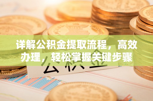 莱城详解公积金提取流程，高效办理，轻松掌握关键步骤