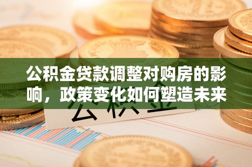 莱城公积金贷款调整对购房的影响，政策变化如何塑造未来住房市场