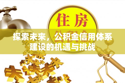 莱城探索未来，公积金信用体系建设的机遇与挑战