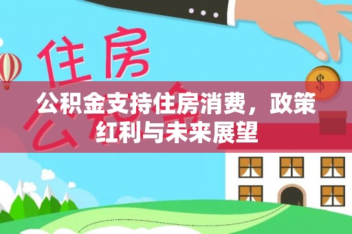 莱城公积金支持住房消费，政策红利与未来展望