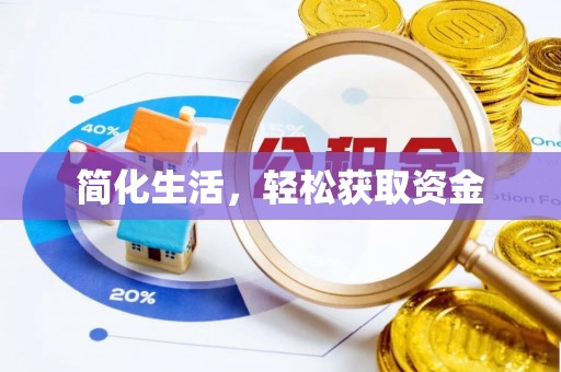 莱城简化生活，轻松获取资金