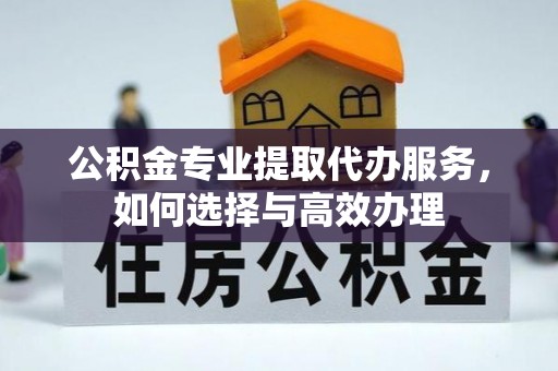 莱城公积金专业提取代办服务，如何选择与高效办理