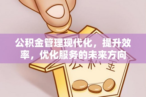 莱城公积金管理现代化，提升效率，优化服务的未来方向