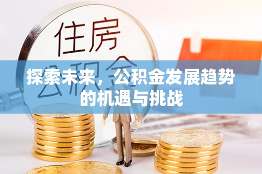 莱城探索未来，公积金发展趋势的机遇与挑战