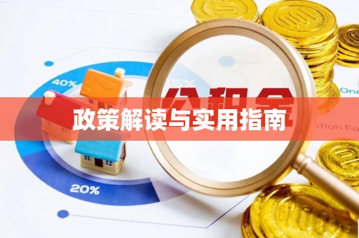 莱城政策解读与实用指南