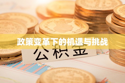 莱城政策变革下的机遇与挑战