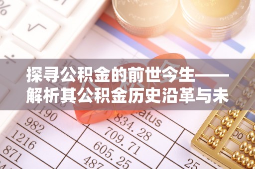 莱城探寻公积金的前世今生——解析其公积金历史沿革与未来方向