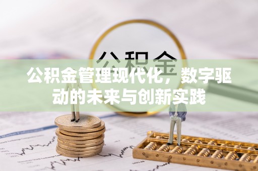 莱城公积金管理现代化，数字驱动的未来与创新实践
