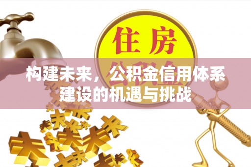 莱城构建未来，公积金信用体系建设的机遇与挑战