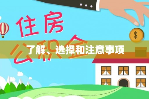 莱城了解、选择和注意事项