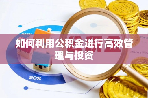 莱城如何利用公积金进行高效管理与投资