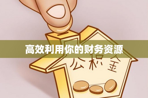 莱城高效利用你的财务资源