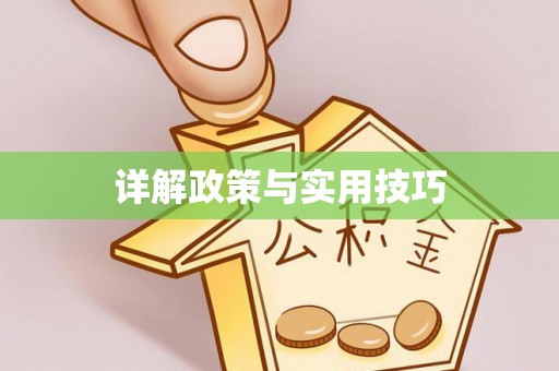 莱城详解政策与实用技巧