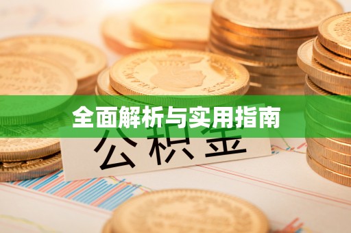 莱城全面解析与实用指南