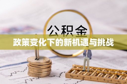 莱城政策变化下的新机遇与挑战