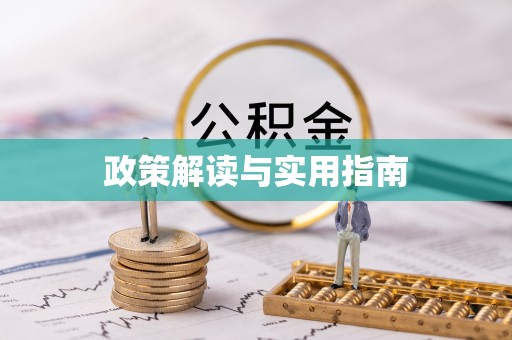 莱城政策解读与实用指南