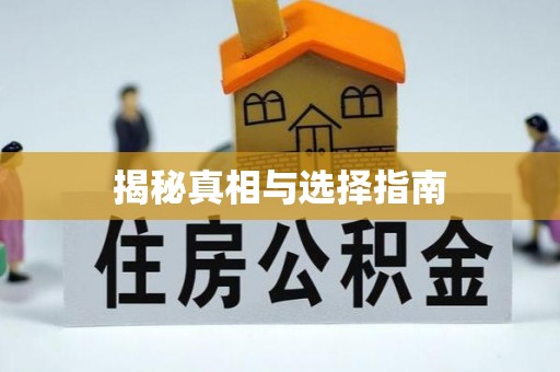 莱城揭秘真相与选择指南