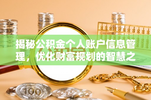 莱城揭秘公积金个人账户信息管理，优化财富规划的智慧之选
