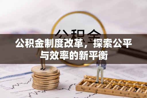 莱城公积金制度改革，探索公平与效率的新平衡