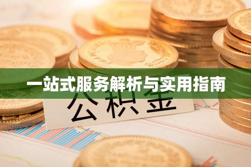 莱城一站式服务解析与实用指南