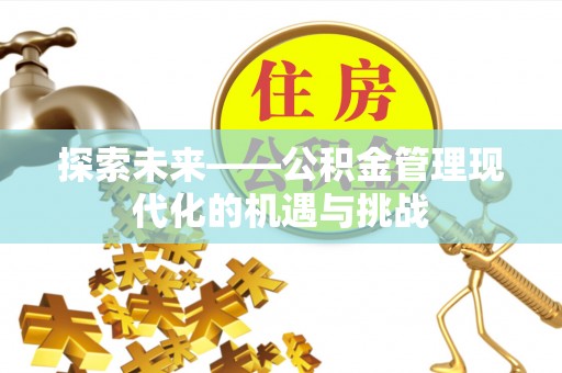 莱城探索未来——公积金管理现代化的机遇与挑战