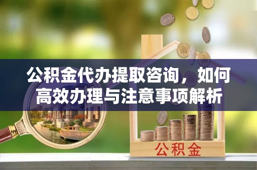 莱城公积金代办提取咨询，如何高效办理与注意事项解析