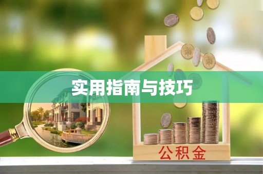 莱城实用指南与技巧