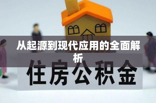 莱城从起源到现代应用的全面解析
